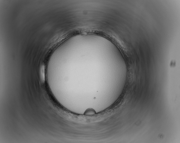 X0000099570022200806061614