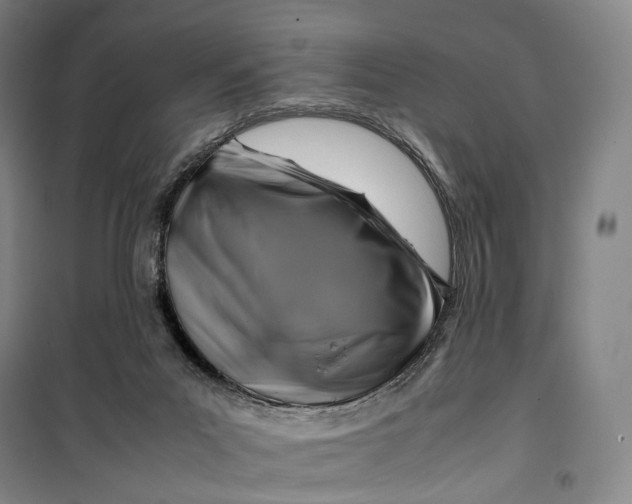 X0000099570023200806061614