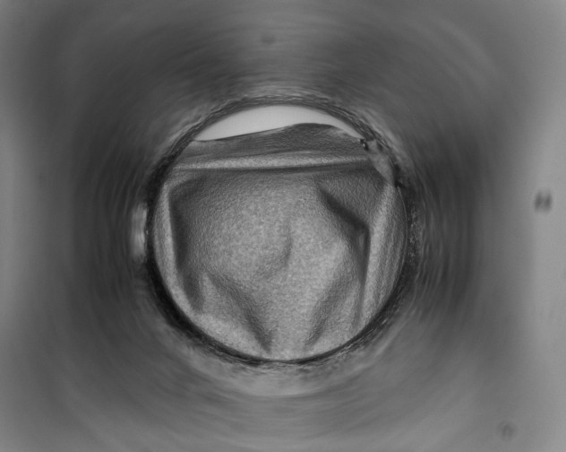 X0000099570024200806061614