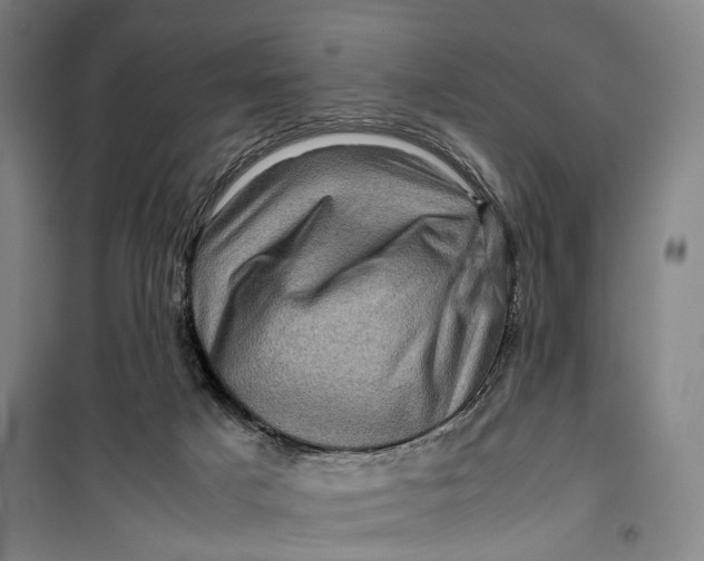 X0000099570025200806061614