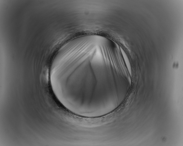 X0000099570027200806061614