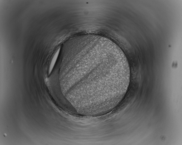 X0000099570028200806061614