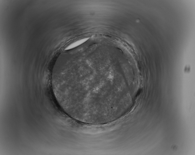 X0000099570029200806061614