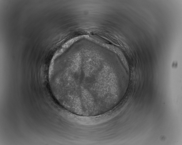 X0000099570030200806061614