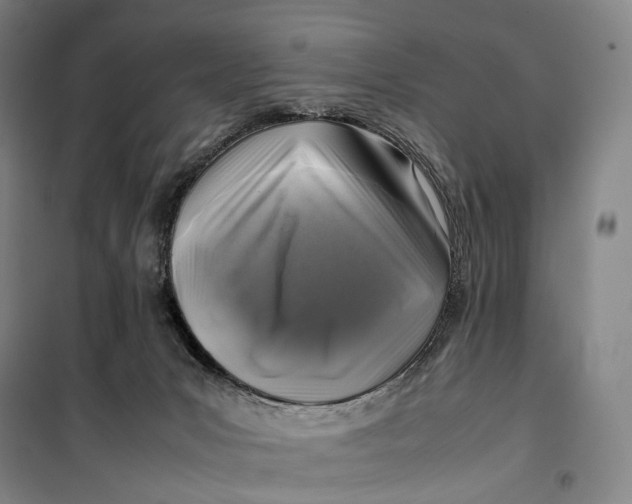 X0000099570031200806061614