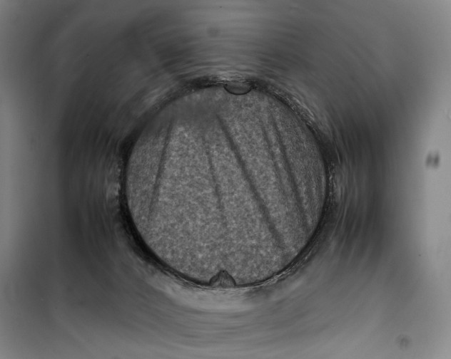 X0000099570032200806061614