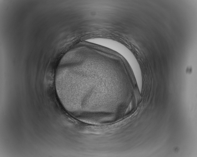 X0000099570033200806061614