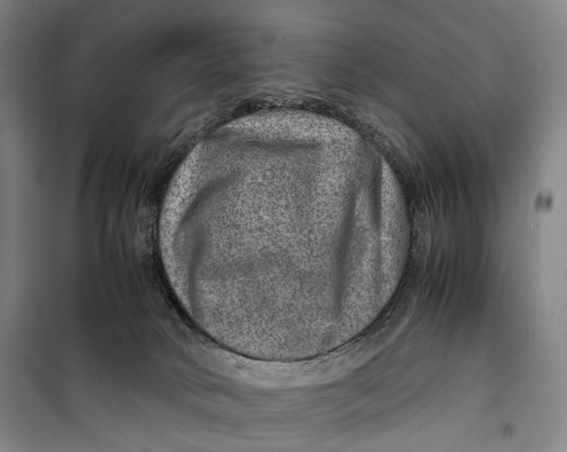 X0000099570034200806061614