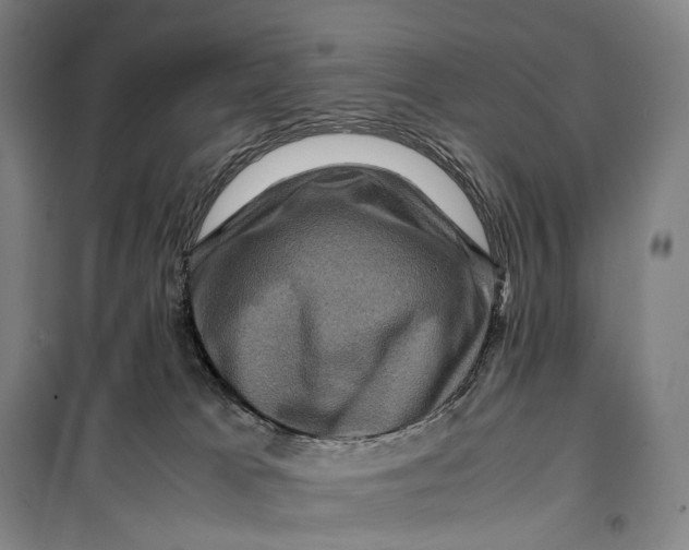 X0000099570037200806061614