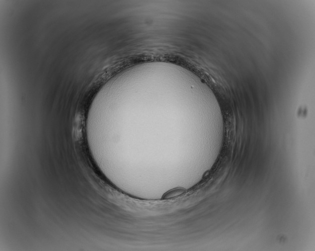 X0000099570038200806061613