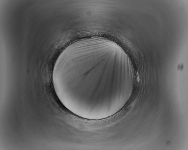 X0000099570039200806061613
