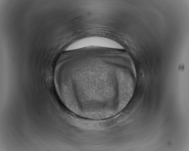 X0000099570040200806061613