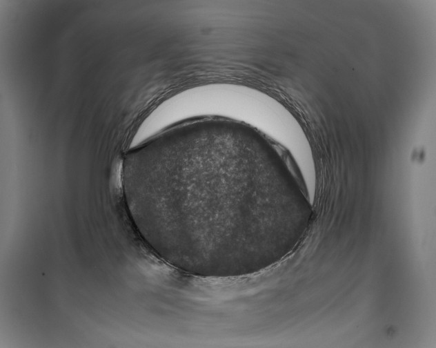 X0000099570041200806061613