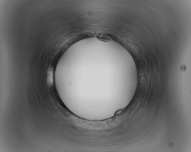 X0000099570042200806061613