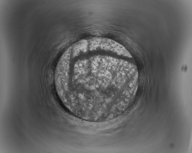 X0000099570043200806061613