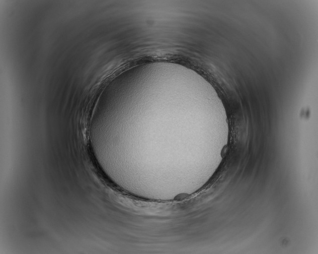 X0000099570044200806061613
