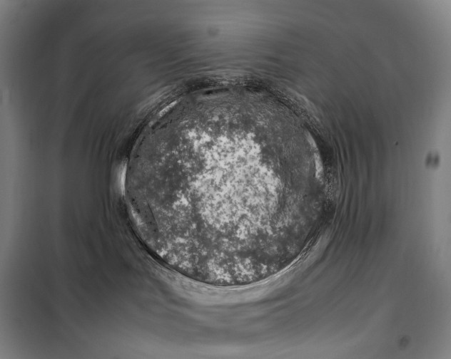 X0000099570047200806061613