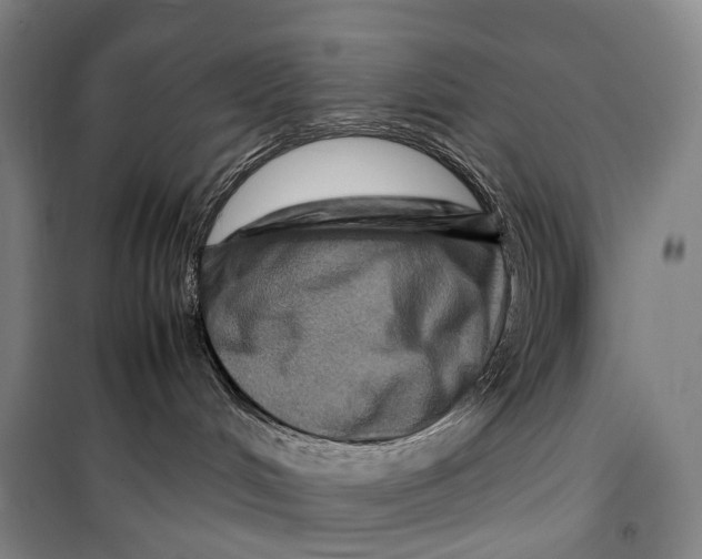 X0000099570048200806061613