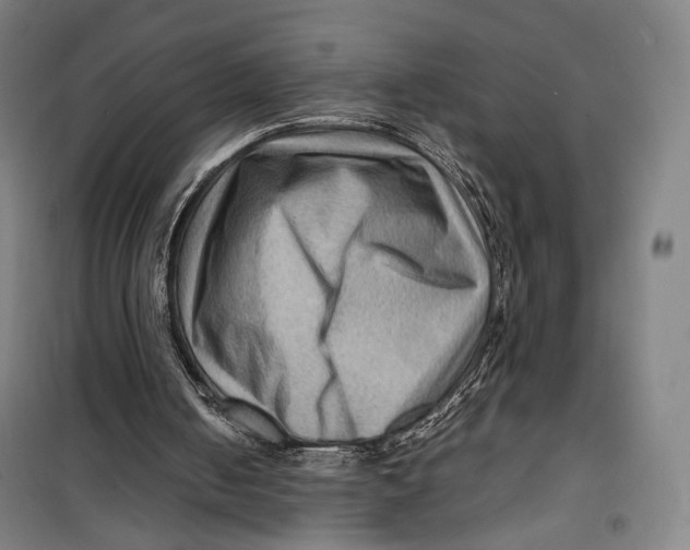 X0000099570050200806061613