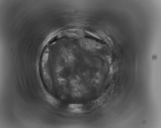 X0000099570051200806061613