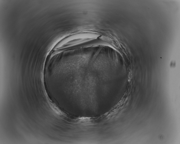 X0000099570052200806061613