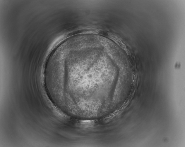 X0000099570053200806061613