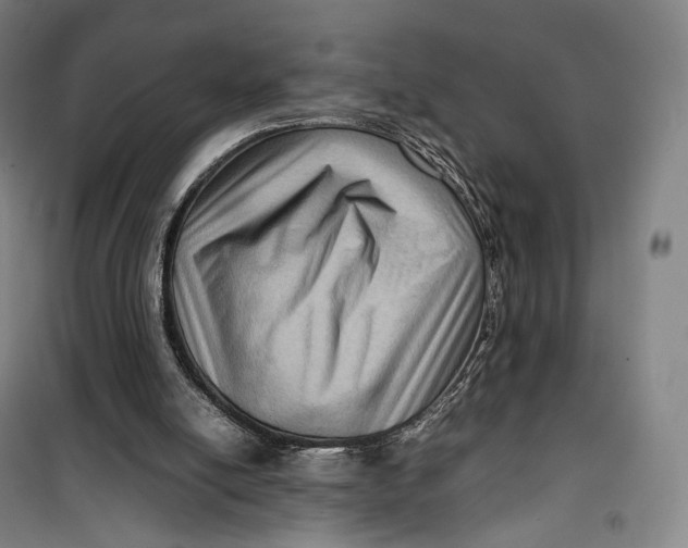 X0000099570054200806061613