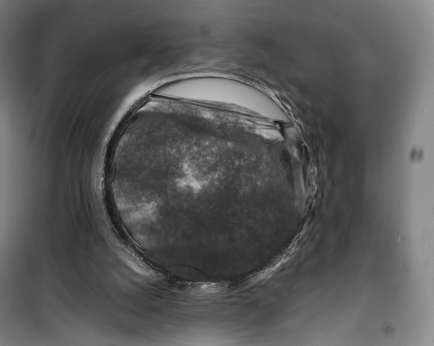 X0000099570056200806061613
