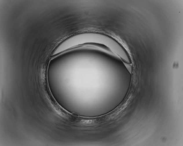 X0000099570057200806061613