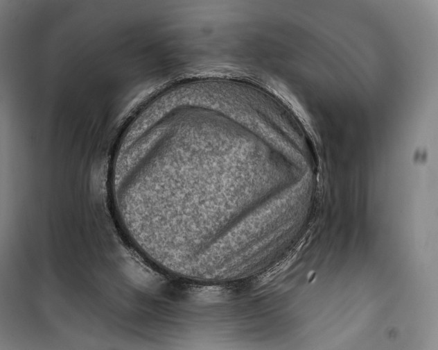 X0000099570058200806061613