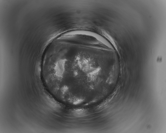 X0000099570059200806061613