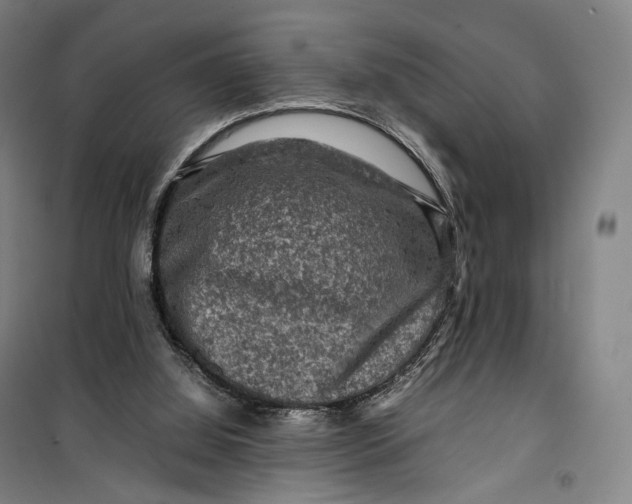 X0000099570060200806061613