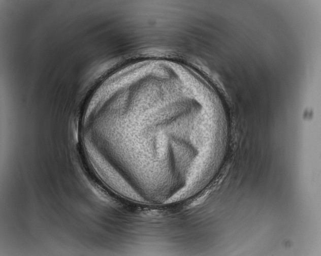 X0000099570062200806061613