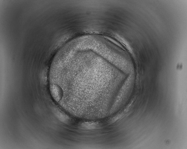 X0000099570065200806061613