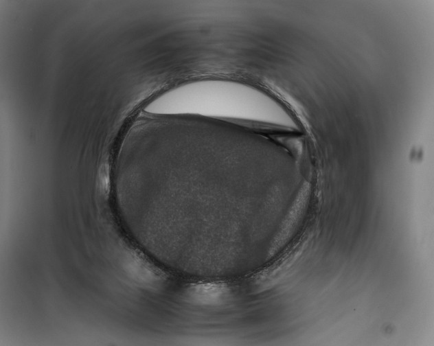 X0000099570067200806061613