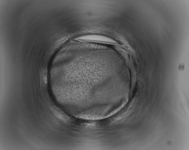 X0000099570068200806061613