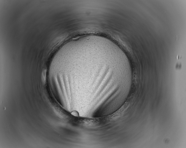 X0000099570070200806061613