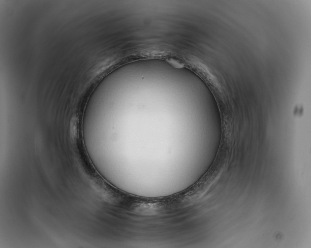 X0000099570071200806061613