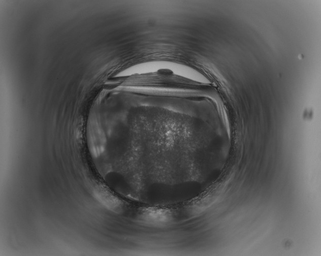 X0000099570073200806061613