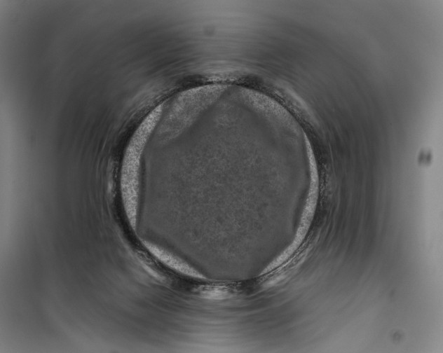 X0000099570074200806061613