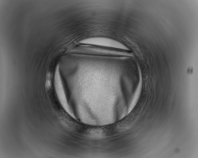X0000099570075200806061613