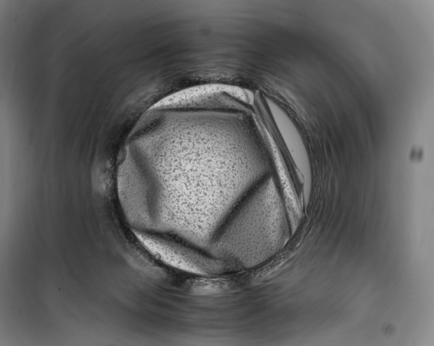 X0000099570077200806061613