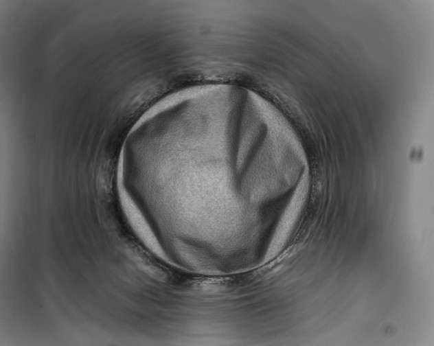 X0000099570078200806061613