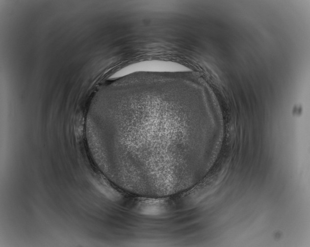X0000099570081200806061613