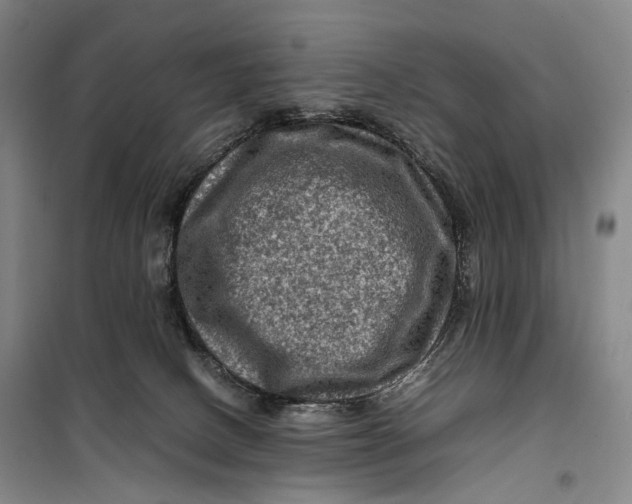 X0000099570082200806061613