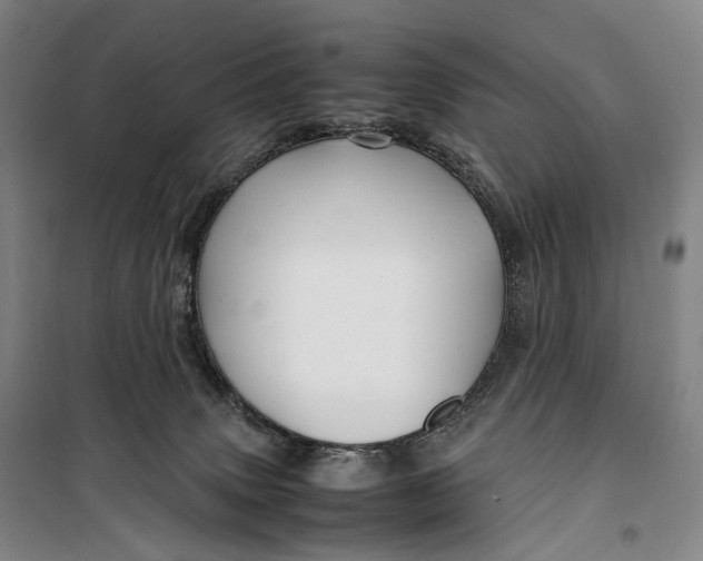 X0000099570083200806061613