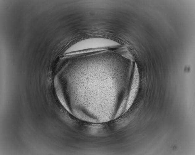 X0000099570085200806061613