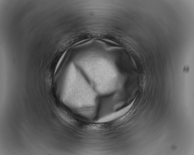 X0000099570086200806061613