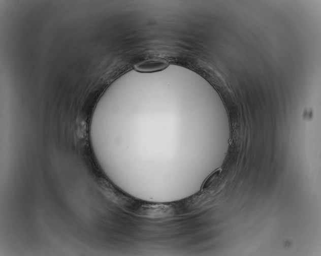 X0000099570087200806061613