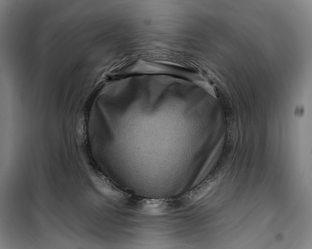 X0000099570088200806061613